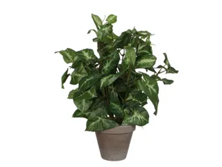 Kunstplant Mica Syngonium groen in pot 35x25cm - 1