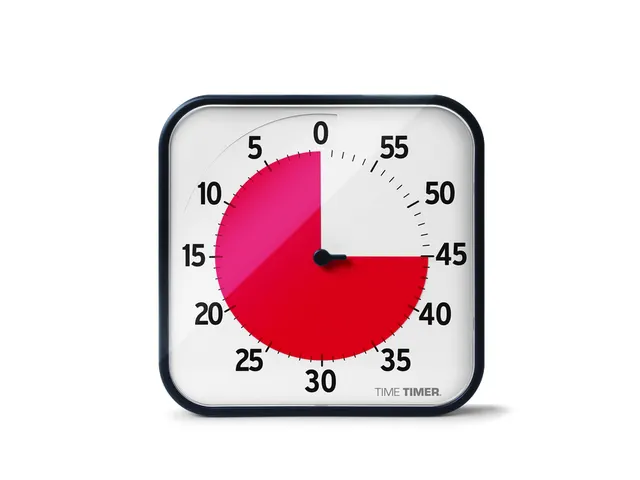 Time Timer Original large zwart