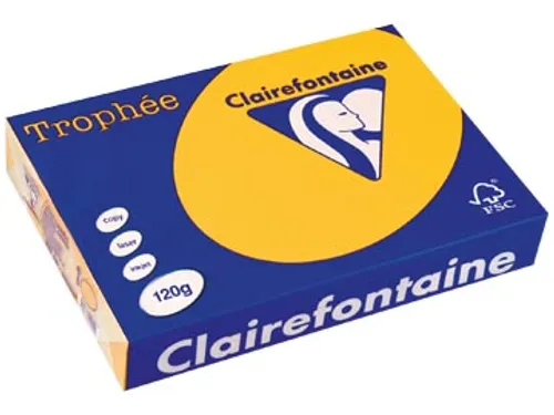 Trophée Intens Gekleurd Papier A4 120 gram 250vel Zonnebloem geel