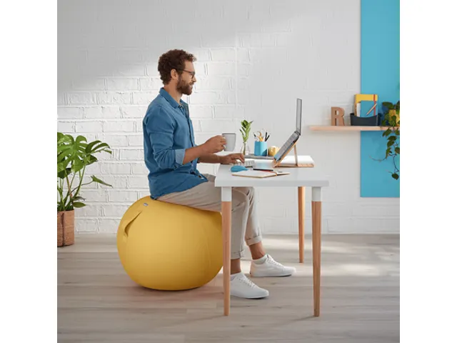 Leitz Ergo Cosy Actieve Zitbal Warm Geel