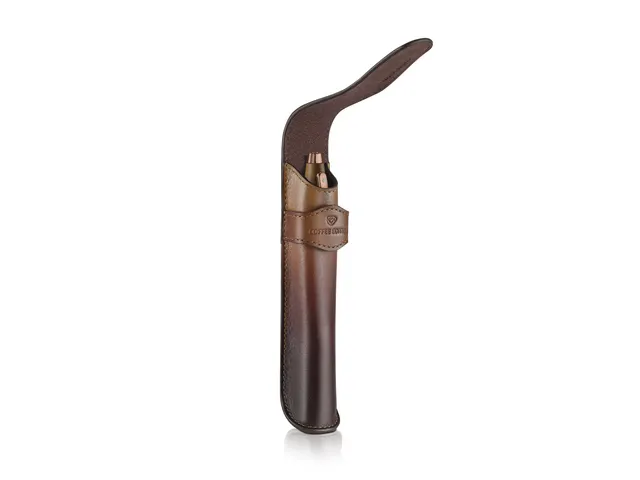 Stylo bille Coffret Sheaffer 100G9374 Coffee étui en cuir Marron mat