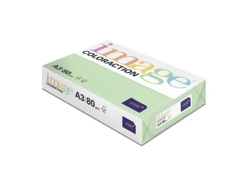Kopieerpapier Forrest Middelgroen A3 160 Gram 500 Vel