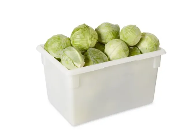 Voedselbewaarbak 81.5 Liter wit