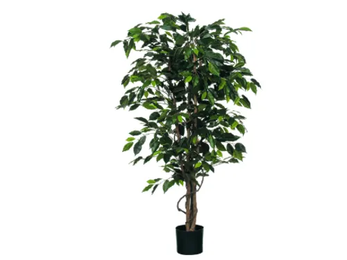 Kunstplant Mica Ficus groen in pot 85x150cm