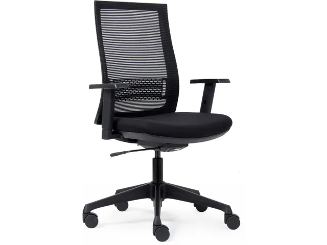 Bureaustoel Basic Ergo Net Zwart Lendensteun