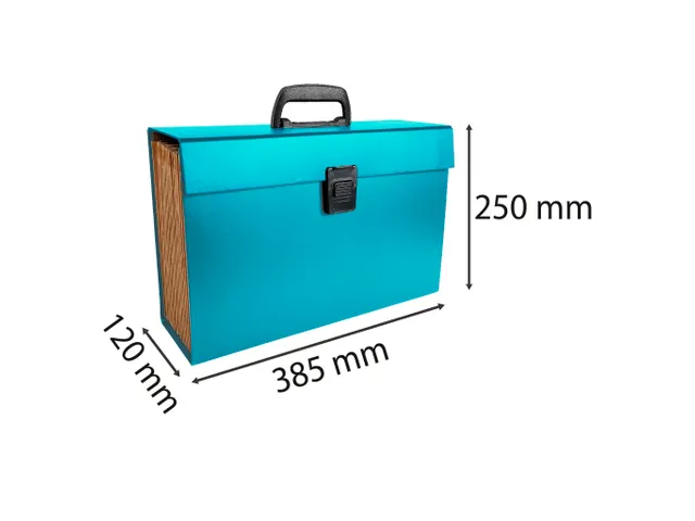 Sorteermap m/handvat 20 vak geass..