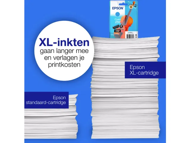 Inktcartridge Epson 250 T16N34 rood