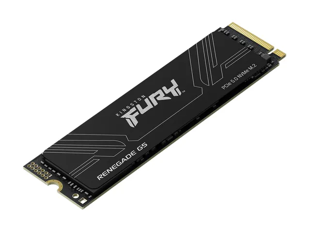 8T FURY RENEGADE G5 M.2 2280 NVMe SSD