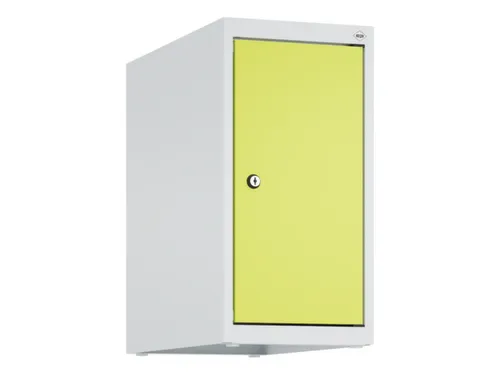 opzetkast,v. locker,1vak.,vak B 250mm,HxBxD 500x250x500mm,vleugeldeur