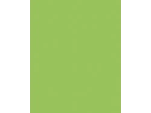 Etalagekarton Folia 48x68 cm 400gr Nr 941 Fluor Groen