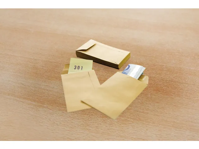 loonzakje Raadhuis 95x145mm bruin 70gr doos a 1000 stuks