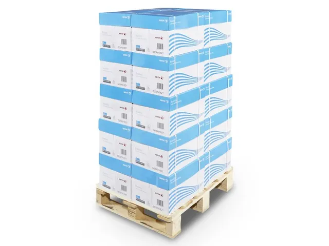 Xerox Business Kopieerpapier A4 80 Gram Pallet