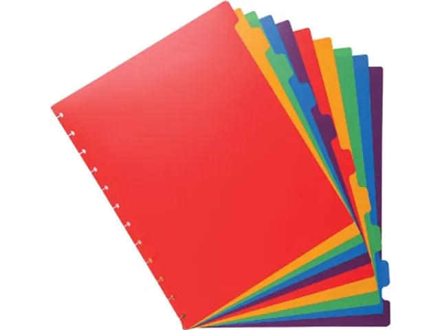 Tabbladen voor showalbum A4 10 Tabs Asssorti