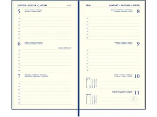 Agenda 2027 Ryam Memoplan 7 Nappa 7dagen/2pagina's assorti - 4