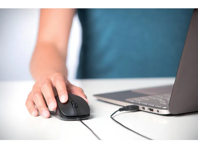 Souris Kensington ValuMouse noir