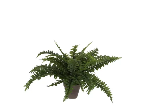 Kunstplant Mica Boston varen groen in pot 42x50cm