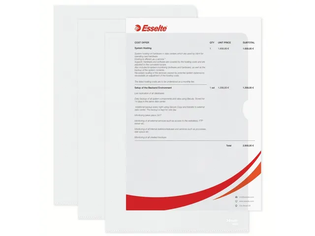 Insteekmap L-model Esselte standaard copy safe PP A4 transparant