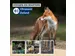 Répulsif animaux ultrason extérieur avec flash LED