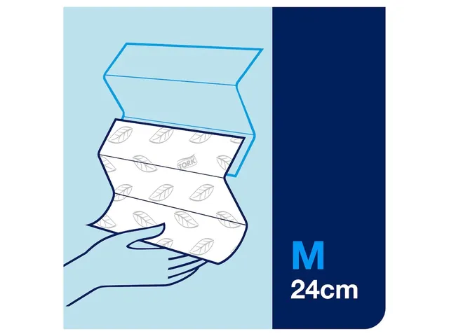 Essuie-mains Xpress interfoliés délitables 2 épaisseurs blanc