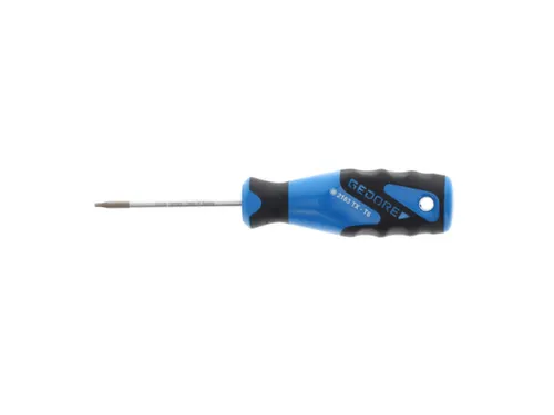 2163 Schroevendraaier TX T6 3C