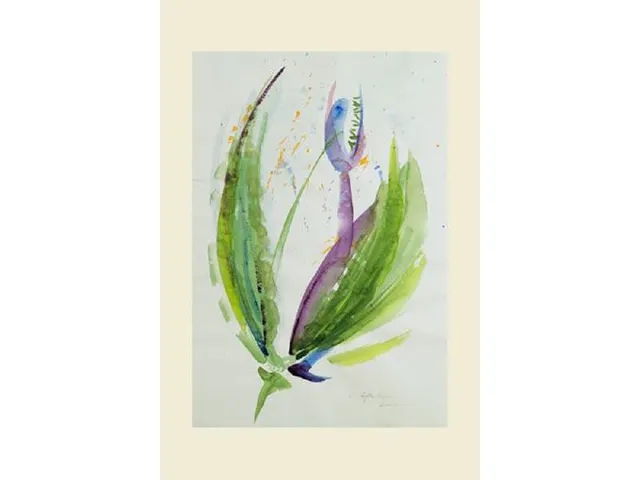 Aquarelpapier da capo 50x65 cm 165 g/m2pak 25 vel VF5003330