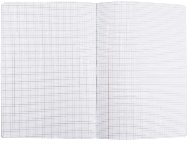 Schrift Oxford School A4 ruit 5mm 36vel assorti