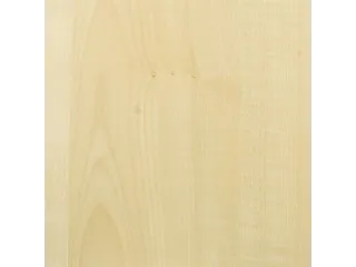 vergadertafel,HxØ 720x900mm,rond,schotelvoet RAL9006,blad esdoorn - 2