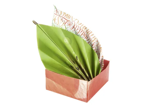Vouwblaadjes Folia 80gr 15x15cm 50 vel 2-zijdig 10 tropical designs