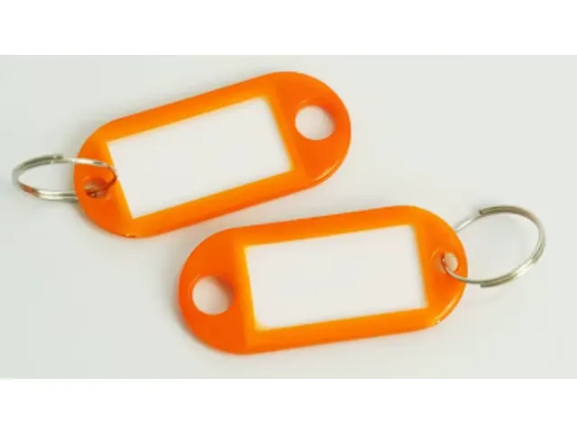 Porte-clés, ft 23 x 45 mm, couleurs assorties, paquet de 25 pièces