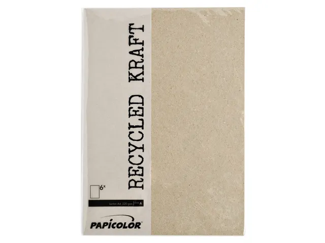Kopieerpapier Papicolor A4 100gr 12 vel kraft grijs