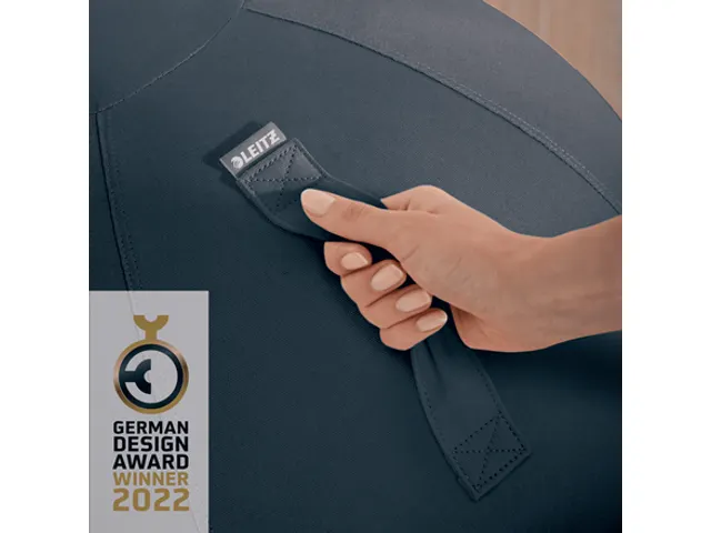 Leitz Ergo Cosy Actieve Zitbal Fluweel Grijs