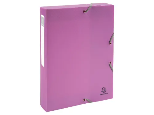 Klasseerdoos rug 40m m PP Forever Young