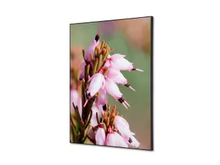 Wanddecoratie Textiel Set A2 Roze Bloem Erica - 1