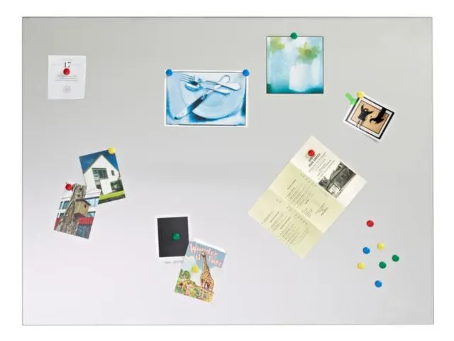 RVS plaat,HxB 900x1200mm,geborsteld,magnetisch