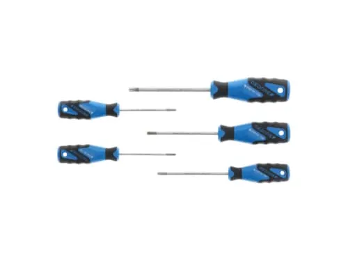 GEDORE 2163 TX-05 3C schroevendraaierset 5-delig TX T10-T30