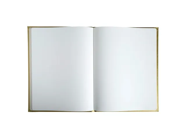 Livre d'or Balacron avec titre 100 pages blanches - 27x22 cm vertical
