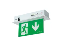 LED-noodverlichting,symbool/tekst: "nooduitgang",pijl omlaag