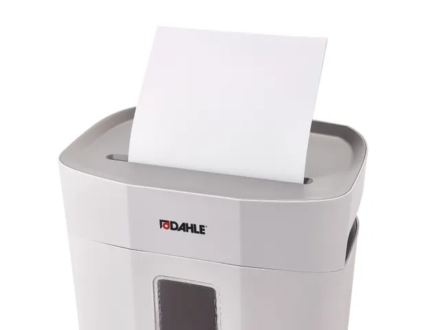 Dahle Papiervernietiger DAHLE PaperSAFE 100 P-4 snippers 5x18mm 5 vel