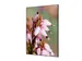 Wanddecoratie Textiel Set A1 Roze Bloem Erica