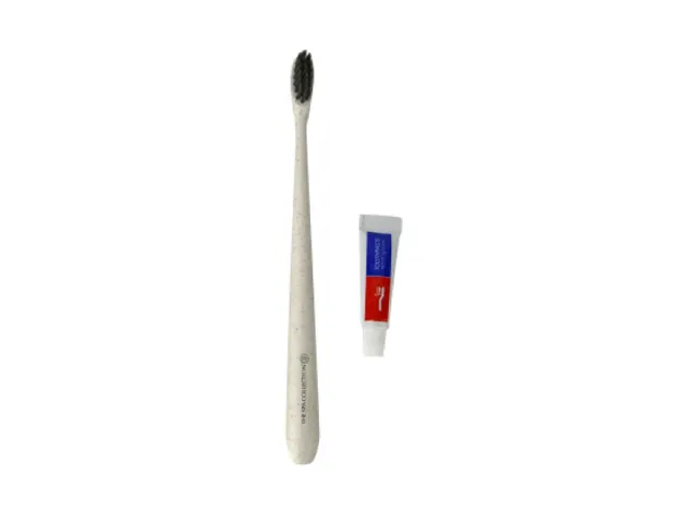 The Spa Collection Dental set Tandenborstel Zwart doosje 250 stuks