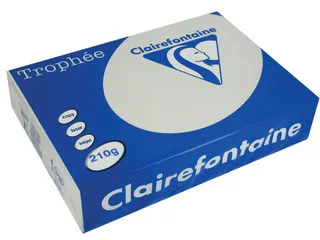 Trophée Pastel gekleurd papier A4 210 gram 250vel Lichtgrijs - 1