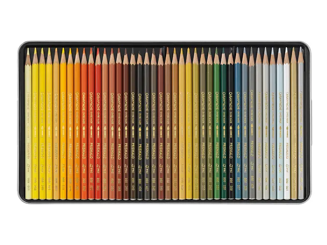 Kleurpotloden Caran d'Ache Prismalo 80 stuks assorti