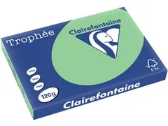 Trophée Pastel A3 120 gram 250 vel natuurgroen