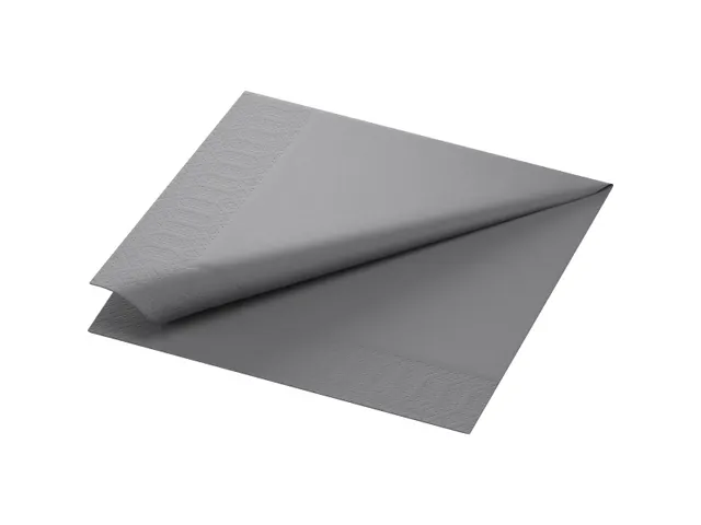 Servet 40x40cm 1/4 vouw 2 laags Grijs doos 10x125 stuks