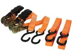 Spanband Met Opspanratel 500kg - 25mm x 5m - 2 ST.