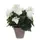 Kunstplant Mica Begonia wit in pot Stan grijs 25x30cm