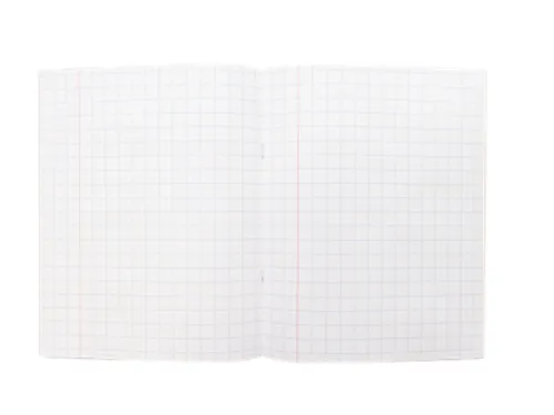Schrift kangaro A5 ruit 10mm 80pagina's 60gram 10stuks zwart