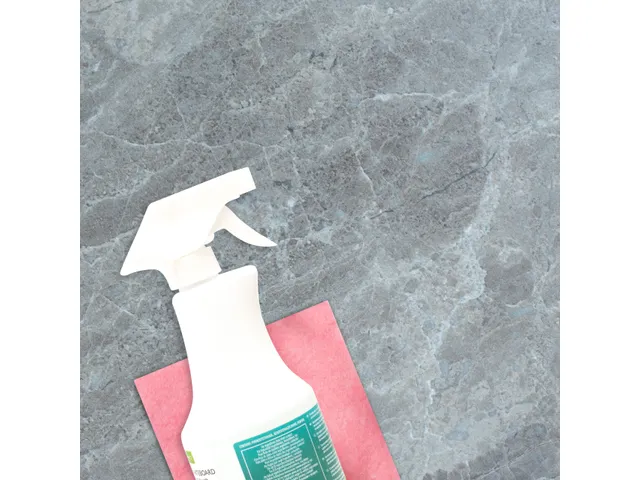 Reinigingsspray Witbord 500 Ml