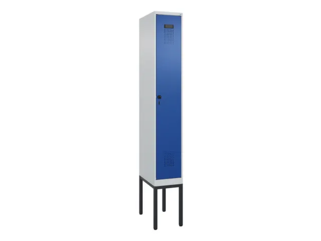 locker voor scheiding van kleding,HxBxD 2120x300x500mm,1vak