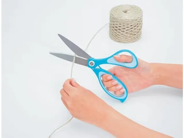 FitCut Curve SMART schaar 17,5 cm blauw op blister